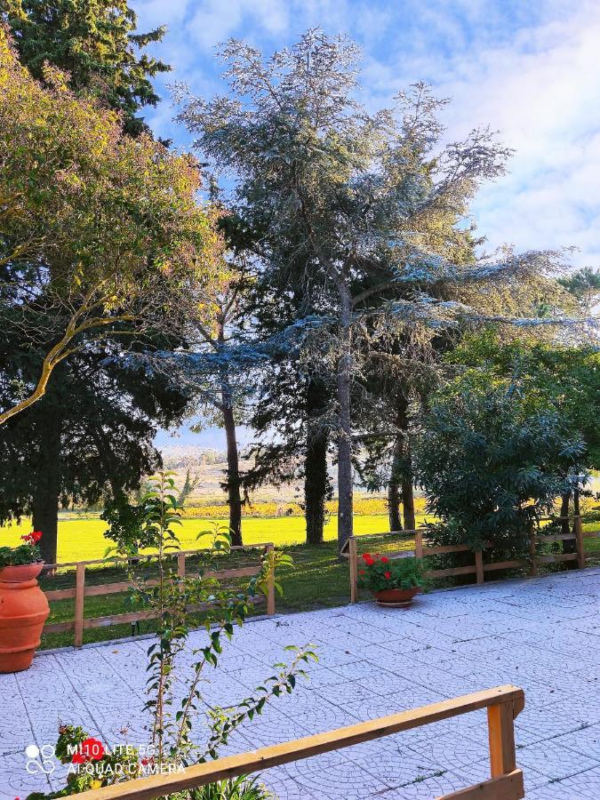 Agriturismo Pian Dell'Osa Villa Montiano  Eksteriør billede
