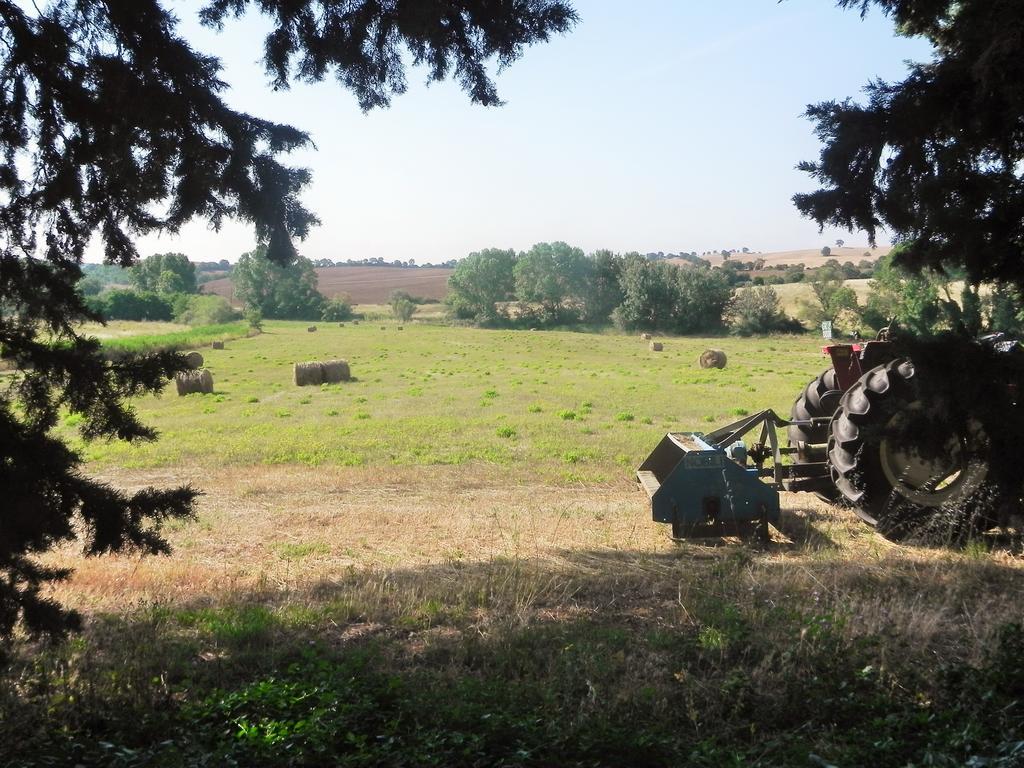 Agriturismo Pian Dell'Osa Villa Montiano  Eksteriør billede
