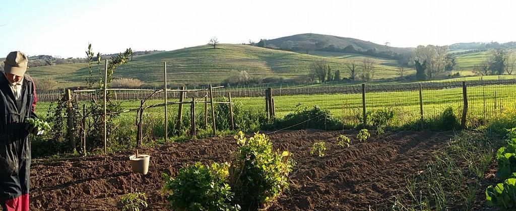 Agriturismo Pian Dell'Osa Villa Montiano  Eksteriør billede